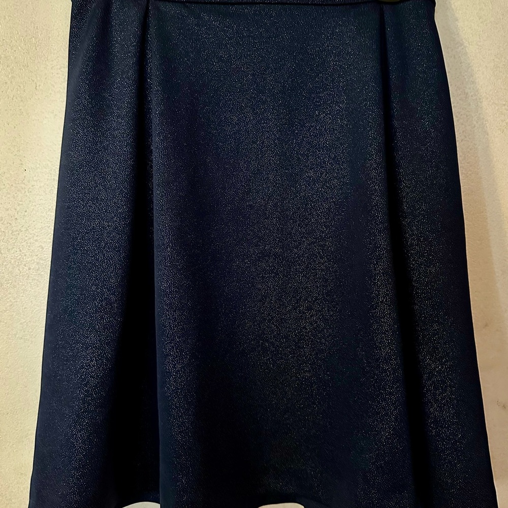 Elegant Navy Skirt